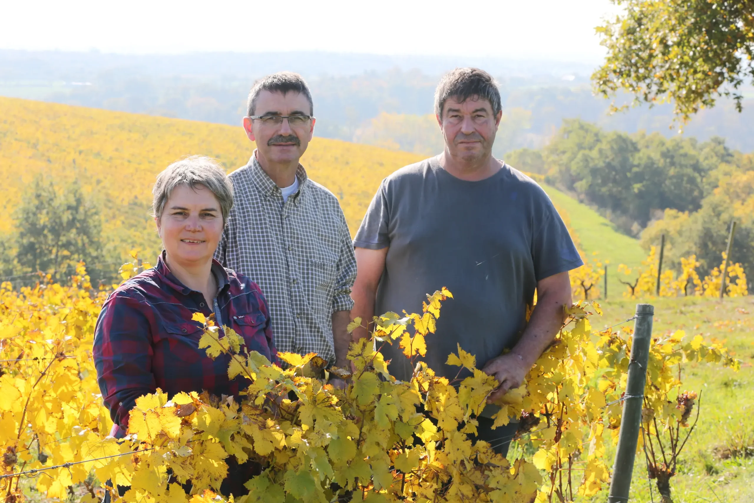 Les Grandes Vignes