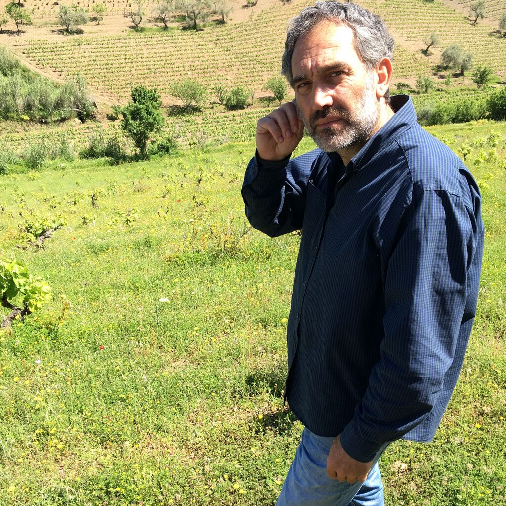 Pane Vino
